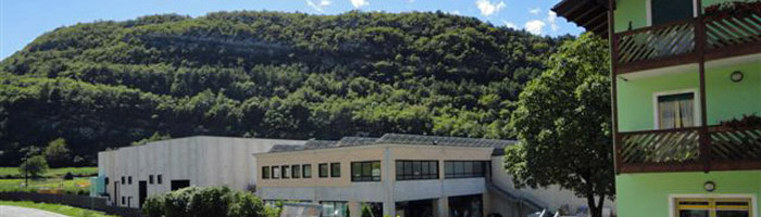 Azienda